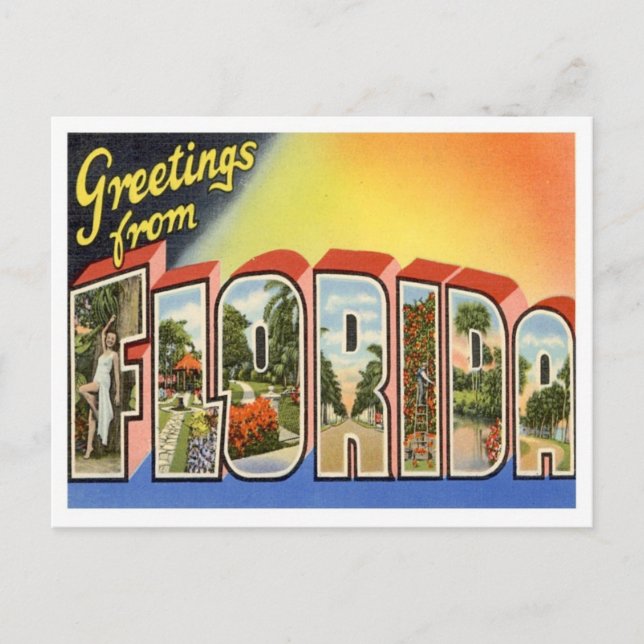 Florida Grüße von US-Staaten Postkarte (Vorderseite)