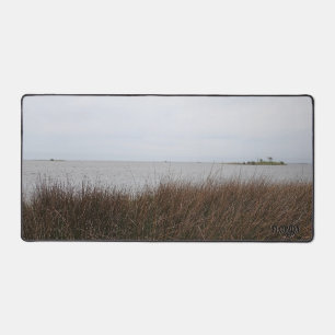 Florida Gulf Coast bedrohliche Needlerush-Foto Schreibtischunterlage