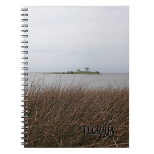 Florida Gulf Coast verbietet Schwarzes Nadelried F Notizblock