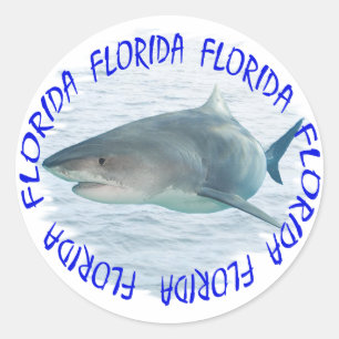 Florida-Haifisch Runder Aufkleber