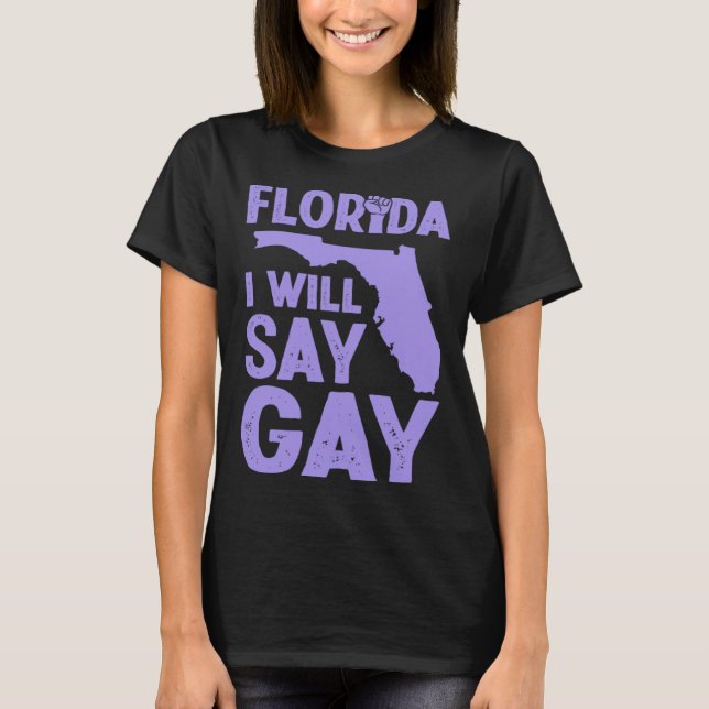 Florida I Will Say Gay Pride Queer Rights LGBTQ Al T-Shirt (Vorderseite)