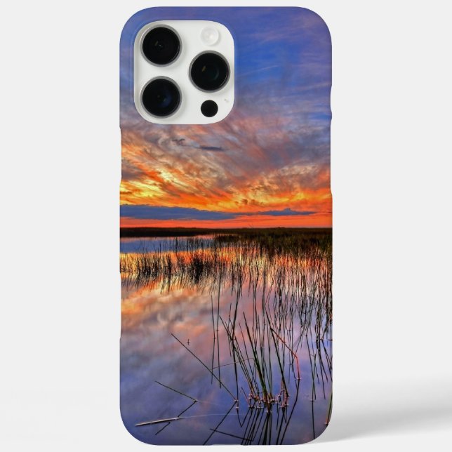 Florida iPhone 16 Pro Max Hülle (Rückseite)