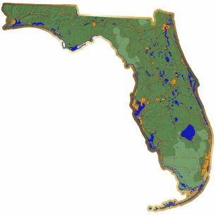 Florida-Karten-Magnet herausgeschnitten Fotoskulptur Magnet