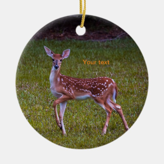 Florida Key irer Juvenile Fawn Fotografie Keramik Ornament (Vorne)