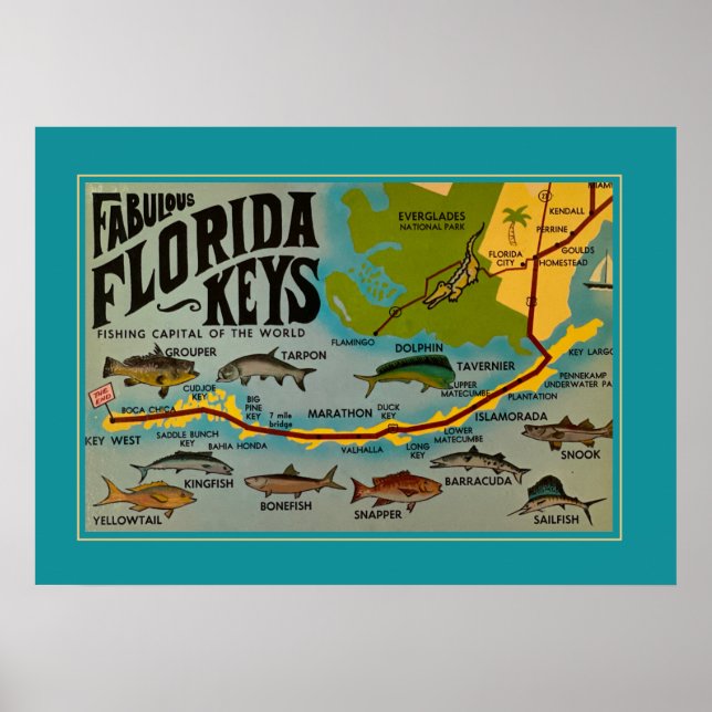 Florida Keys Fische Poster (Vorne)
