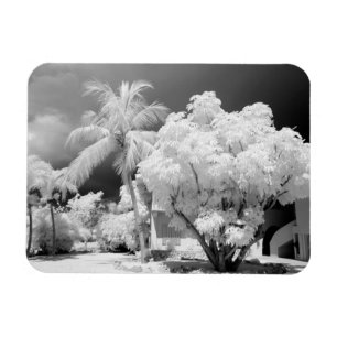 Florida Keys-Haus und seine Palmen, USA. 2 Magnet