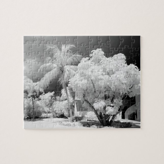 Florida Keys House und seine Palmen, USA.2 (Horizontal)