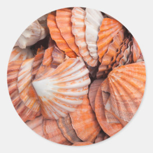 Florida Keys, Key West, Muscheln Runder Aufkleber