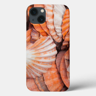 Florida Keys, Key West, seashells Case-Mate iPhone Hülle