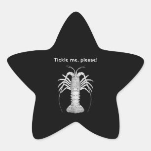 Florida Keys Spiny Lobster Tickle Me Stern-Aufkleber