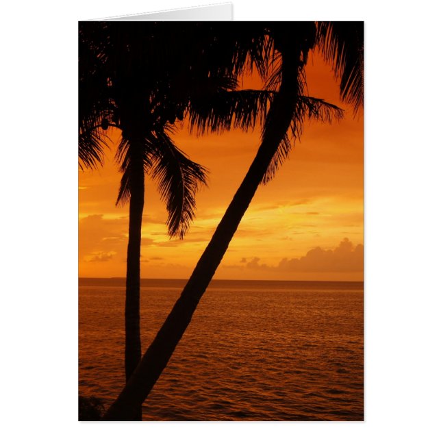 Florida Key's Sunset (Vorne)