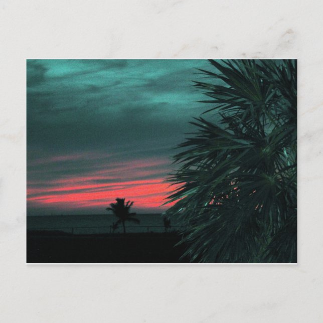 Florida Keys Sunset Postcard groß Postkarte (Vorderseite)