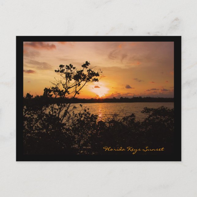 Florida Keys Sunset Postkarte (Vorderseite)