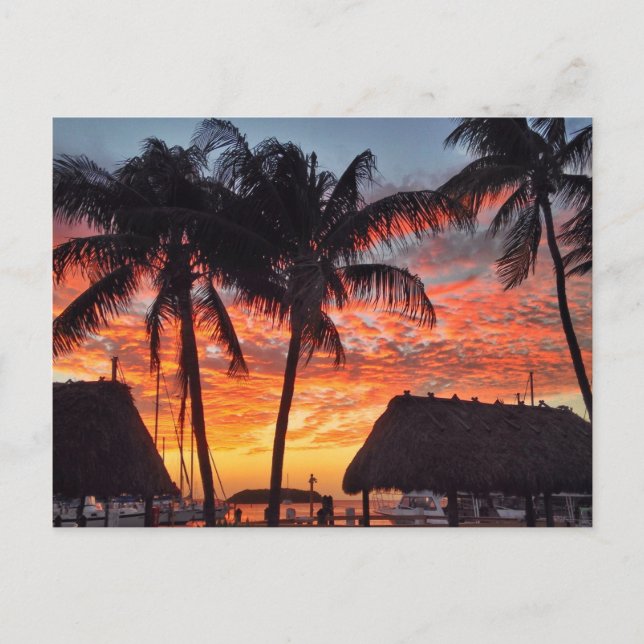 Florida Keys tropischer Sonnenuntergang Postkarte (Vorderseite)
