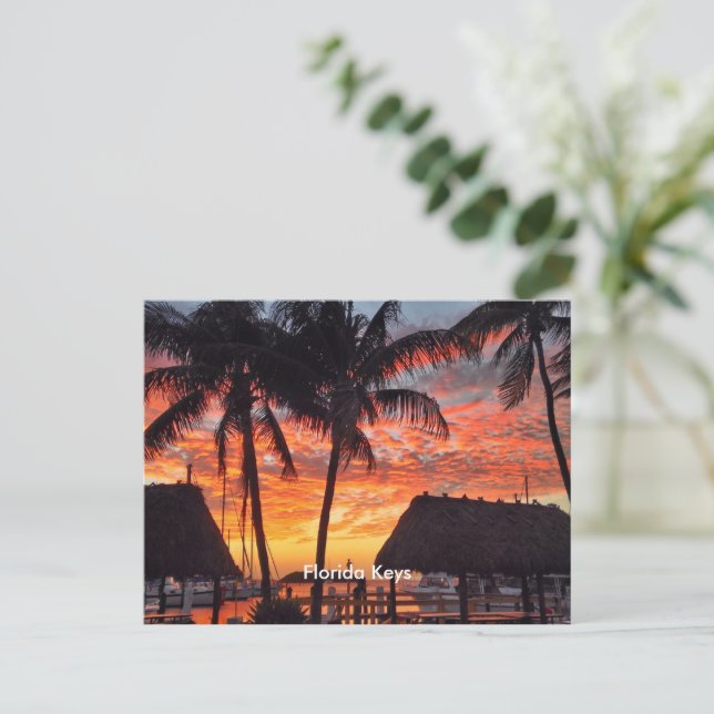 Florida Keys tropischer Sonnenuntergang Postkarte (Stehend Vorderseite)