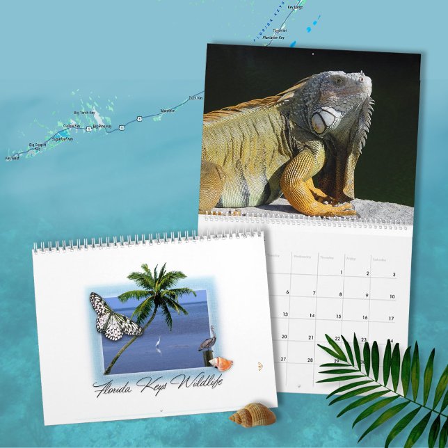 Florida Keys Wildlife Calendar Kalender (Von Creator hochgeladen)