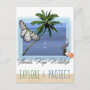 Florida Keys Wildlife Postkarte