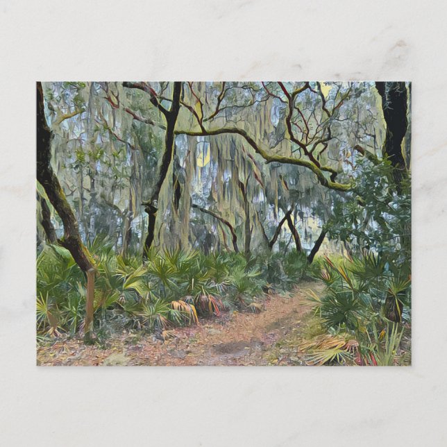 Florida Lace Spanish Moss Impressionist Art Postkarte (Vorderseite)