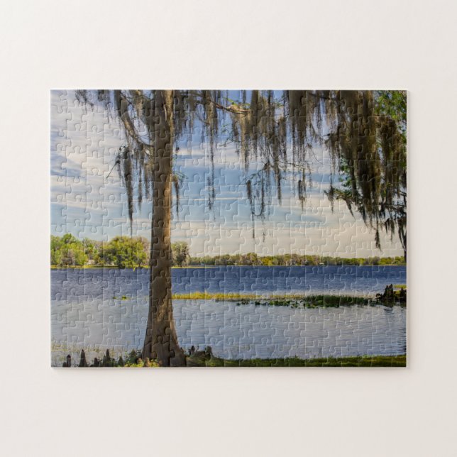 Florida Landscape Jigsaw Puzzle (Horizontal)