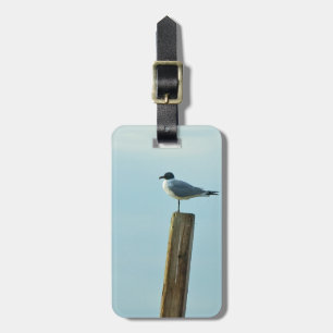 Florida Laughing Gull Easy ID Persönlich Gepäckanhänger