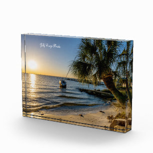 Florida Leaning Palm Tree Sunset Foto Block