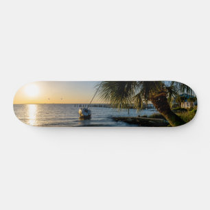 Florida Leaning Palm Tree Sunset Skateboard