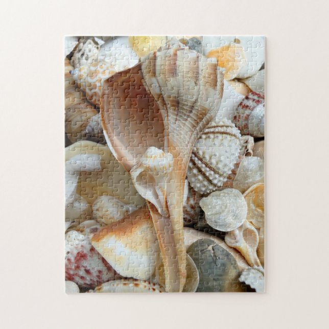 Florida Lightning Whelk Seashells Puzzle (Vertikal)