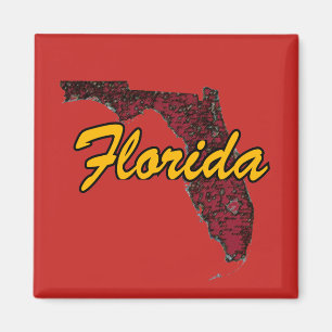 Florida Magnet