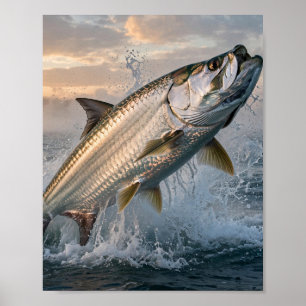 Florida Man Mighty Tarpon Durchbricht Sunrise Kuns Poster