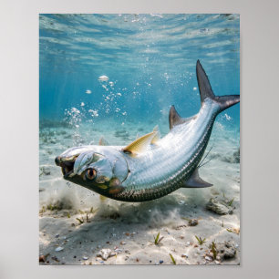 Florida Man Tarpon Silver King Küstenangeln Kunst Poster