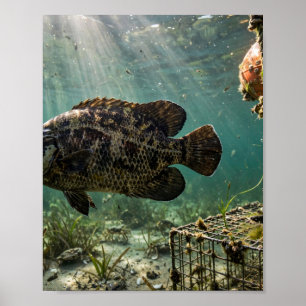 Florida Man Tripletail-Krabbenfallenboje Fischplak Poster