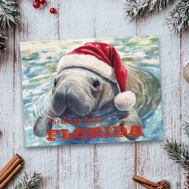 Florida Manatee Wassercolor Weihnachten Postkarte (Von Creator hochgeladen)
