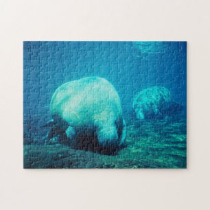 Florida-Manatis-Puzzle