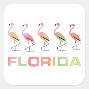 FLORIDA - Marching Tropical Flamingos Quadratischer Aufkleber