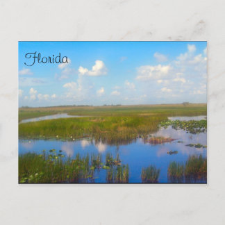 Florida Marsh Postcard Postkarte