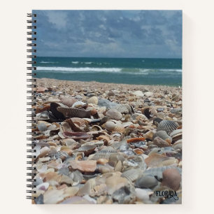 Florida-Muschel Atlantik Ozean Strand Natur Foto Notizbuch