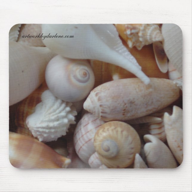 Florida-Muscheln Mousepad (Vorne)