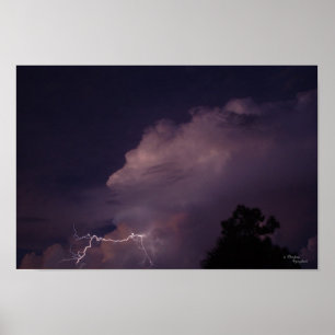 Florida Night Lighting Poster