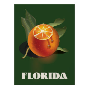 Florida Orange Reiseplakat Canvas Druck