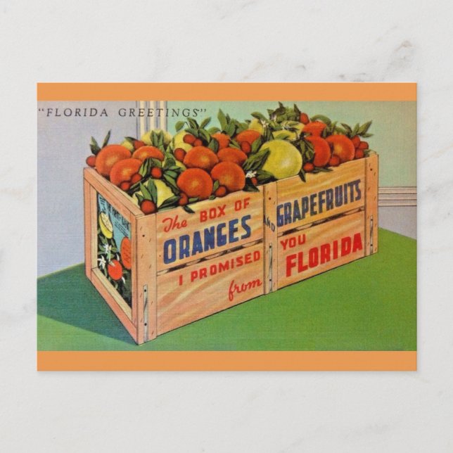 Florida Orange und Grapefruitkiste Postkarte (Vorderseite)