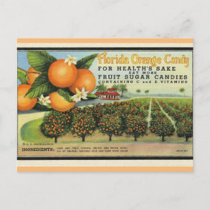Florida Orangen Süßigkeiten Postkarte