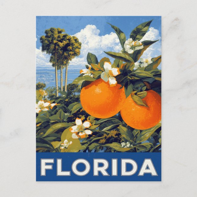 Florida Oranges Vintage Travel Postkarte (Vorderseite)