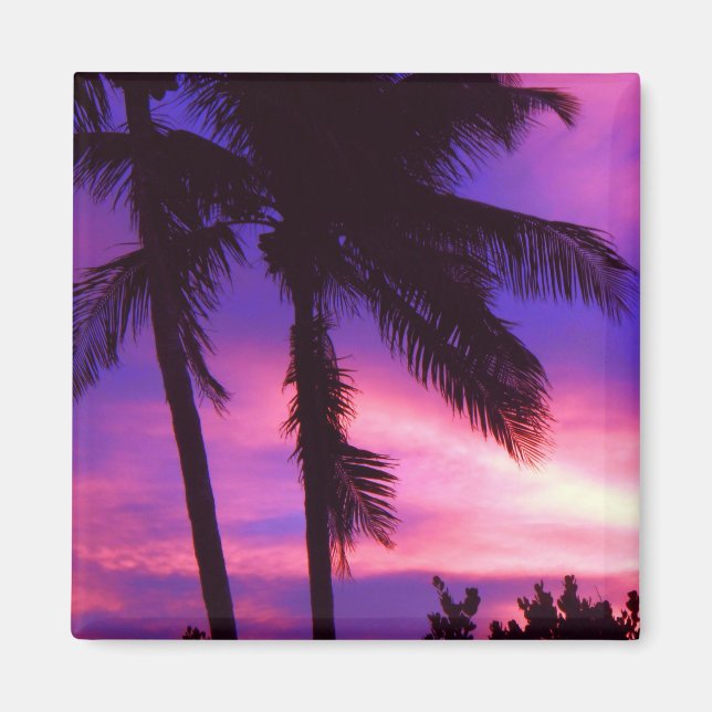 Florida Palm Sunset Magnet (Vorne)