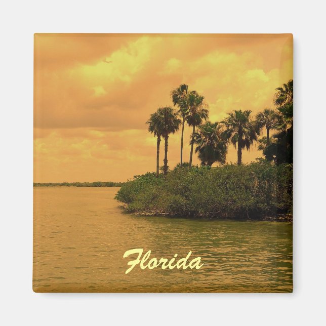 Florida Palm Tree Reverie Magnet (Vorne)