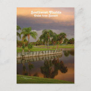 Florida Palm Tree Sunset Postcard Postkarte