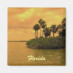 Florida-Palme-Träumerei Magnet