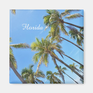 Florida-Palmen-Magnet Magnet