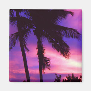 Florida-Palmen-Sonnenuntergang-Magnet Magnet