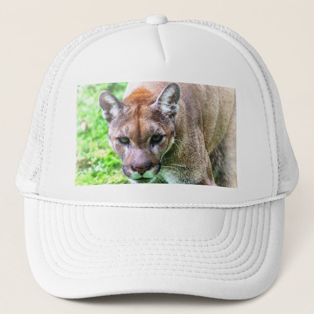 FLORIDA PANTHER BASEBALLCAPPE ODER HUT TRUCKERKAPPE (Vorderseite)