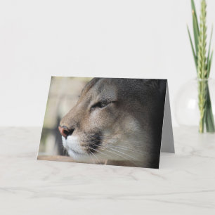 Florida Panther Birthday Card Karte